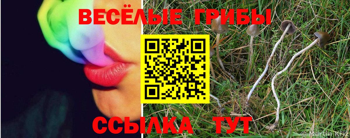 Мирный  Псилоцибиновые грибы GOLDEN TEACHER  Вход с VPN 